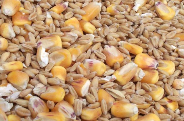 CE a respins cererea Guvernului de prelungire a taxarii inverse la cereale