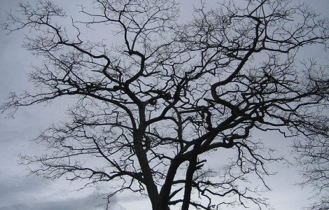Meteo: Cum va fi vremea la inceputul saptamanii?