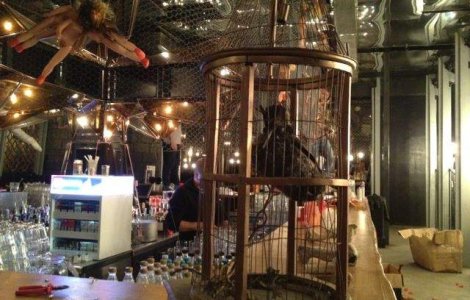 Clubul Gaia risca suspendarea activitatii pentru trei luni