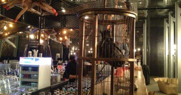 Clubul Gaia risca suspendarea activitatii pentru trei luni