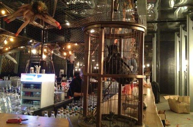 Clubul Gaia risca suspendarea activitatii pentru trei luni