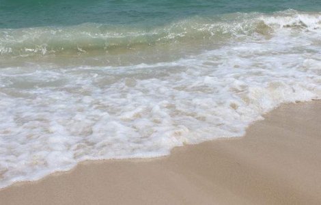 Agentii economici din Mamaia vor plati taxa pentru promovarea statiunii