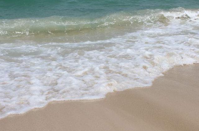 Agentii economici din Mamaia vor plati taxa pentru promovarea statiunii