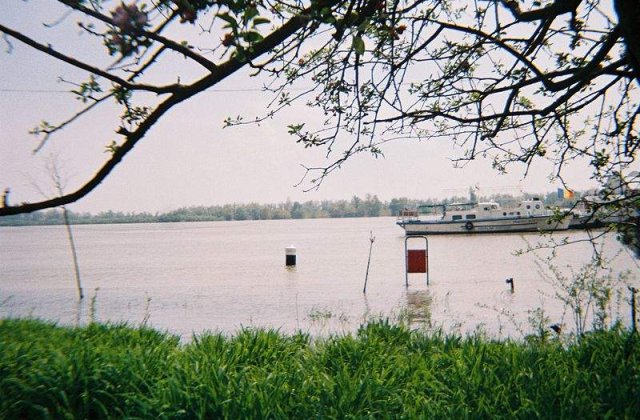 Cod portocaliu de inundatii pe Dunare si in judetul Satu Mare