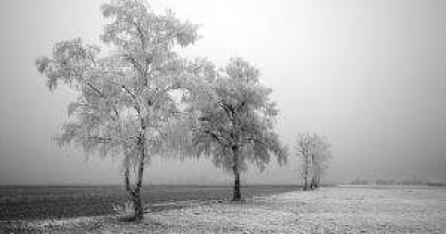 Prima ninsoare de anul acesta din Beijing a fost artificiala