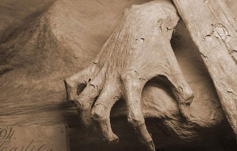 Bucuresti: Cadavru mumificat descoperit intr-o gura de canal