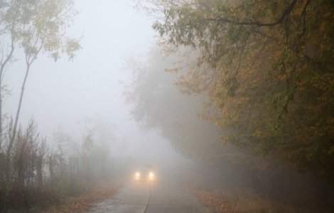 Cod GALBEN de ceață în 12 județe ale țării, luni dimineață