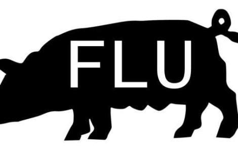 Planurile lui Basescu, date peste cap de gripa porcina