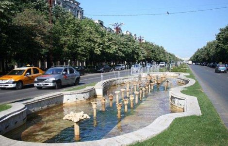 Ce pastreaza RA-APPS in baza de reprezentare si protocol