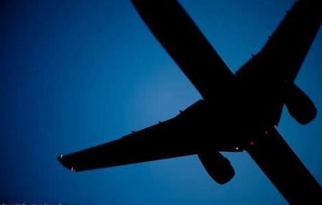 Incident bizar: Un avion a lovit un porc mistret