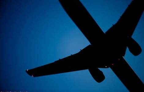 Incident bizar: Un avion a lovit un porc mistret