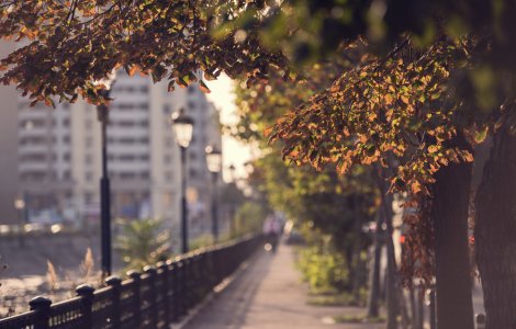 Prognoză ANM: Vreme caldă în această săptămână. Când revin ploile