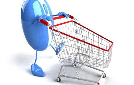 Carrefour Romania incepe vanzarile pe internet