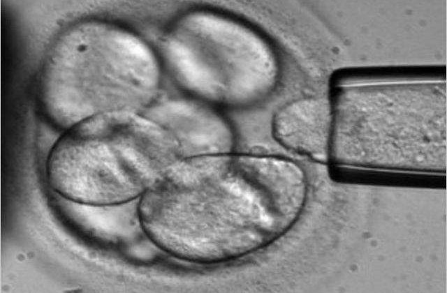 2 mii de romani, inscrisi in Registrul National al Donatorilor Voluntari de Celule Stem