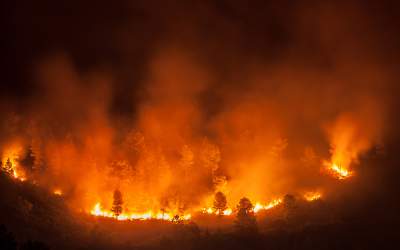 Incendiile din Indonezia au...