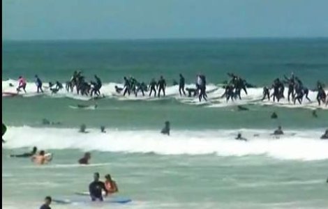  Video  Cartea Recordurilor: 125 de oameni pe acelasi val