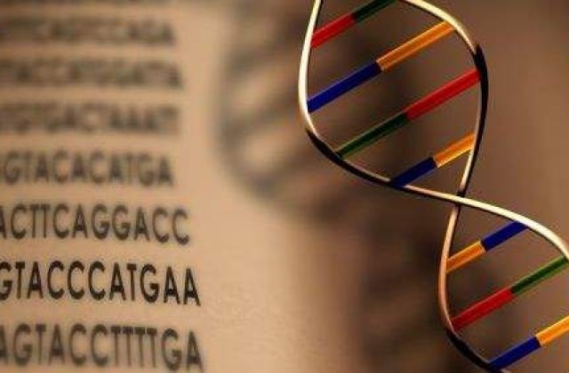 Biogenis deschide o noua banca de celule stem la Bucuresti luna aceasta