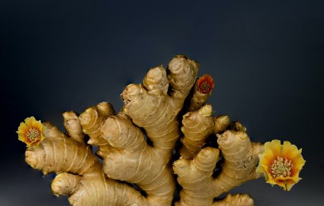  Top  6 beneficii ale ceaiului de ghimbir asupra organismului tău