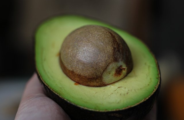 Semințele de avocado și proprietățile lor miraculoase: 3 preparate pentru &icirc;mbunătățirea sănătății și 4 trucuri de frumusețe