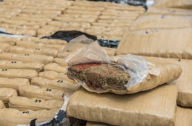 VIDEO Patru bărbați din Cluj au fost reţinuţi, după ce polițiștii au descoperit 142 kilograme de cannabis