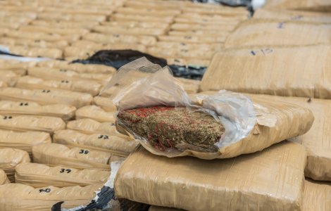 VIDEO Patru bărbați din Cluj au fost reţinuţi, după ce polițiștii au descoperit 142 kilograme de cannabis