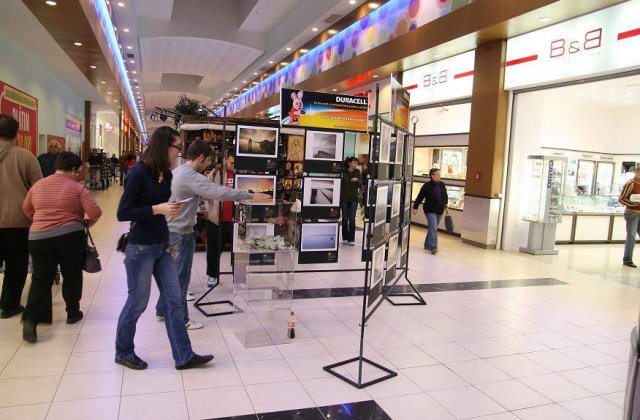 Cu un SMS la 874, salvezi vederea!