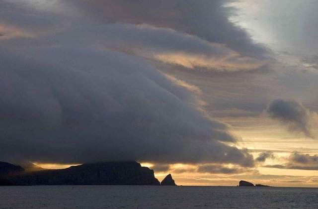 COD GALBEN de vant in Muntenia si Moldova