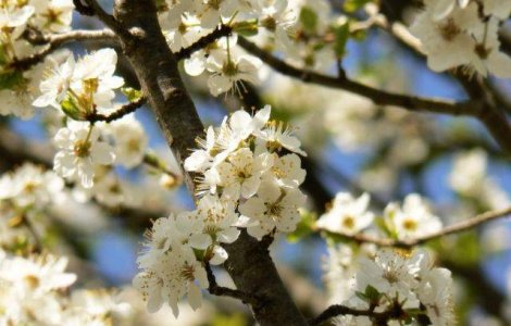Meteo: Starea vremii de 1 Mai si de Sarbatoarea Pastelui