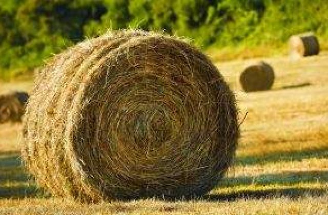 Romania are din ce in ce mai putine sanse pentru portofoliul agriculturii