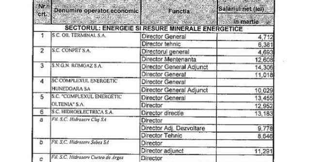 Topul "salariilor nesimtite" in companiile de stat