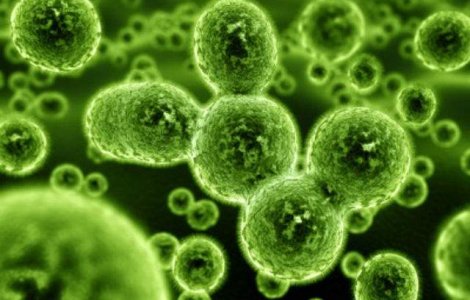 Bacteriile radioactive, o solutie promitatoare contra cancerului pancreatic