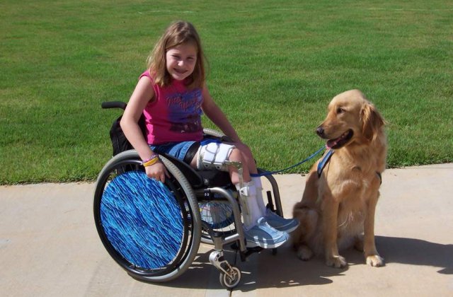 Zeci de plangeri contra scolilor care au refuzat elevi cu dizabilitati