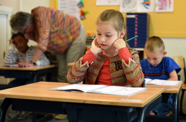 Tezele elevilor din acest an ar putea fi înlocuite cu o evaluare sumativă