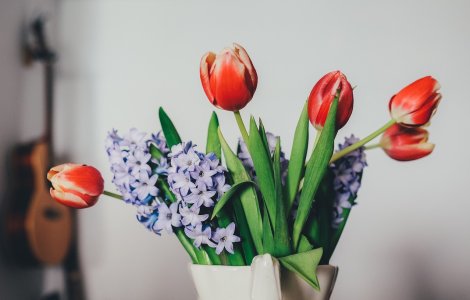  Top  Nu au nevoie de pământ: 19 plante pe care le poți crește într-un pahar cu apă