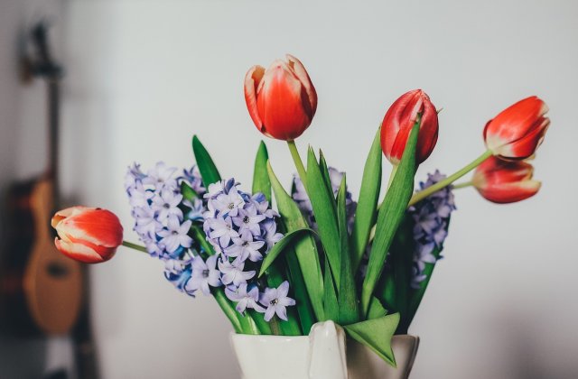 Nu au nevoie de pământ: 19 plante pe care le poți crește într-un pahar cu apă