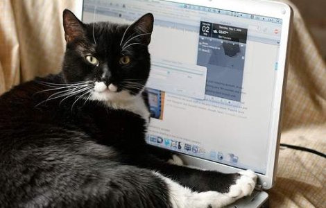 A scapat de puscarie cu ajutorul Facebook