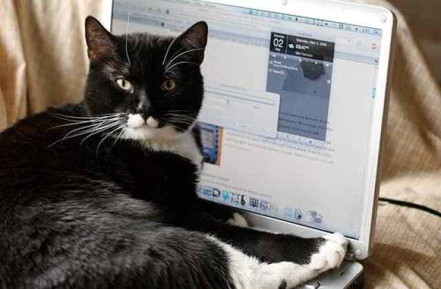 A scapat de puscarie cu ajutorul Facebook