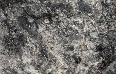 Incendiu la un spital psihiatric din Rusia: Cel putin 38 de morti