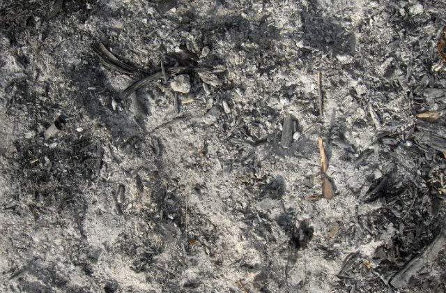 Incendiu la un spital psihiatric din Rusia: Cel putin 38 de morti