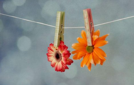  Top  10 specii de flori pe cat de frumoase pe atat de urat mirositoare