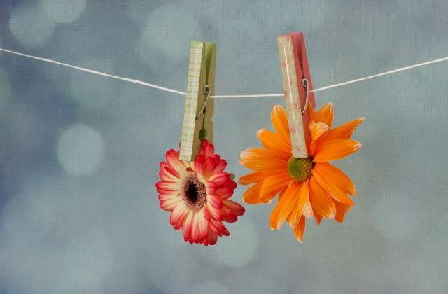 Topul florilor: 10 specii pe cat de frumoase pe atat de urat mirositoare