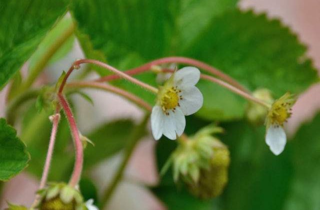 Meteo: Cum va fi vremea in weekend
