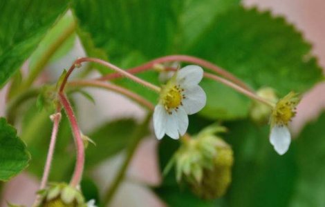 Meteo: Cum va fi vremea in weekend