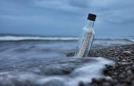 Mesaj trimis cu un porumbel călător acum 100 de ani, descoperit în Franța