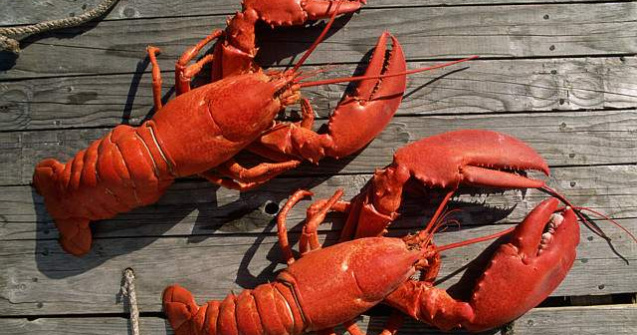 Cea mai mare fiertura de raci din Europa, pregatita in Romania