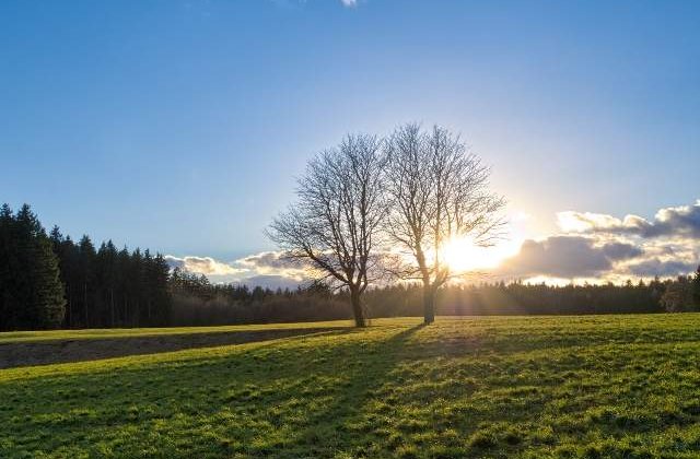 Cum va fi vremea de 1 Mai si Paste: Prognoza meteo pe doua saptamani