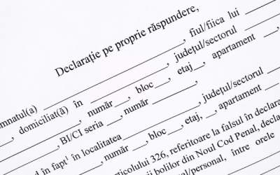 Declarația pe proprie...