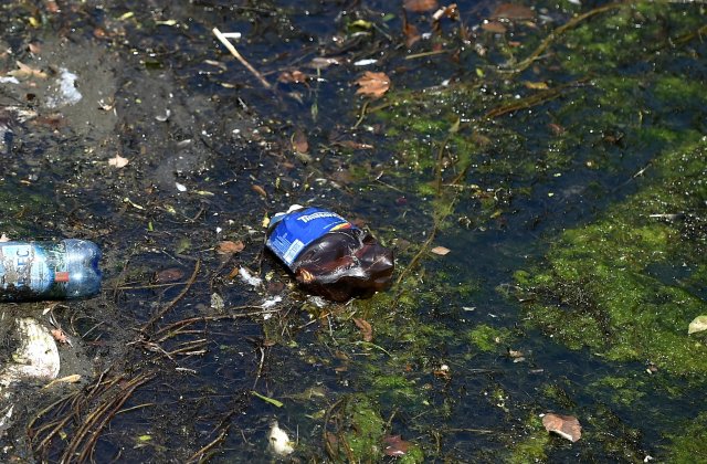 Ministrul Mediului: „Regiunea Mării Negre este afectată de poluarea cauzată de plastic şi microplastic”