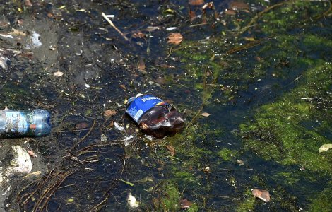 Ministrul Mediului: „Regiunea Mării Negre este afectată de poluarea cauzată de plastic şi microplastic”