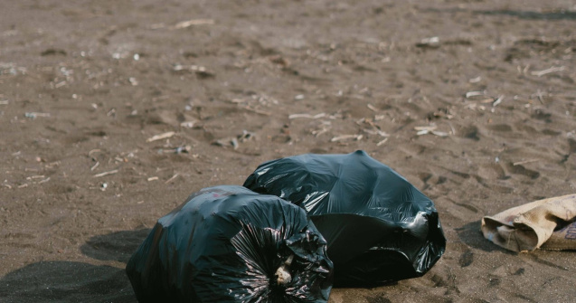 Bărbat amendat cu 30.000 de lei pentru că a aruncat gunoiul într-un loc nepermis